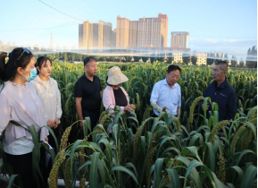 內蒙古農牧業科學院農作物研究與發展